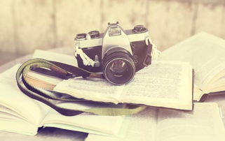 子瑤說攝影 | 社群99%攝影愛好者不知道的4大秘籍，助你開啟專業攝影攝像服務